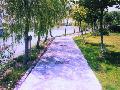庣԰ˮϻ